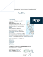 Macrolidos Tetraciclinas y Cloranfenicol