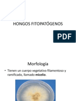 Microbiología - HONGOS FITOPATÓGENOS