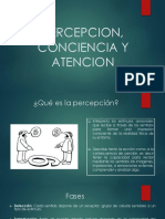 Percepcion, Conciencia y Atencion