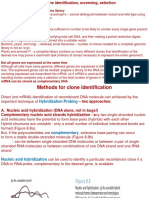 Clone Identification, Screening, Selection