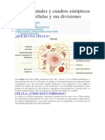 Mapas Mentales y Cuadros Sinópticos Sobre Las Células y Sus Divisiones