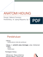 Anatomi Hidung