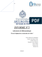 Informe 5 Hidro Test de Sulfatacion