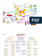 Mapa Conceptual OPD