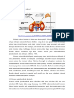 Anatomi Fisiologi Kelenjar Adrenal