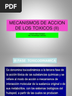 Clase 2 B Fases y Mecanismos de Accion de Los Toxicos (II)