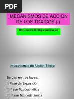 Clase 2 A Fases y Mecanismos de Accion de Los Toxicos (I)