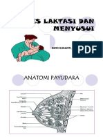 TM - 2 - Proses Laktasi Dan Menyusui