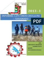 Informe de Campo Chulluni 1