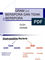 P3 Basil Gram (+) Rev2016