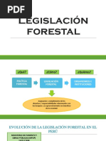 Política Forestal 