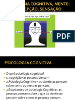 02 Cognição Mente Percepão PDF