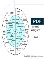 Strategic Account Plan e Book