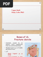 Upper Limb