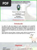 Alimentacion de Cabras