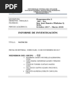 MATRICES - Informe de Investigación