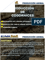 Produccion de Codornices