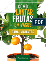 Como Plantar Frutas em Vaso Iniciantes