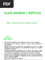 Cordados - Anfibios y Reptiles