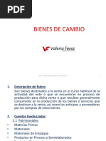 5 Bienes de Cambio PDF