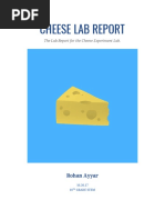 Cheese Lab Report: Rohan Ayyar