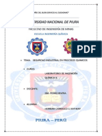 Seguridad Industrial en Procesos Quimicos