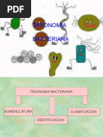 Clasificacionbacteriana 110227231643 Phpapp01