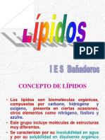 Lípidos