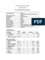 Costos de Produccion de La Sandia Analisis