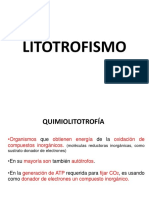 Litotrofismo