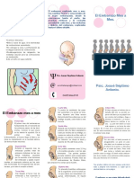 Triptico Embarazo PDF