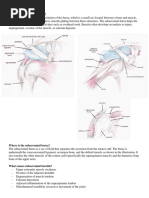 Subacromial Bursitis Patients