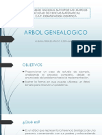 Arbol Genealogico