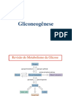 Gliconeogenese e Via Das Pentoses Fosfatos