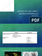 Amebas de Vida Libre y Amebas Comensales