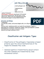 Treponema Pallidum: Human Pathogens