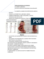 Cambios Biomecánicos en El Embarazo