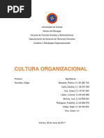 Cultura Organizacional