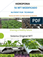 NFT