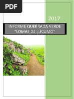 Informe Quebrada Verde