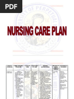 Nursing Care Plan