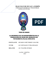 Tesis o Impacto Da Microfinanciamento Na Cidade de Leite Patacamaya (Período 2006-2010) - 1428