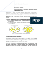 Figura I.1: Muestreo Estadístico y Muestreo de Minerales