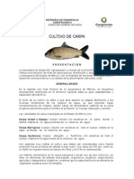 Cultivo de Carpa