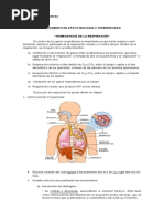 Mecanismo Homeostático de La Respiración