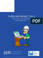 Ms Project