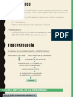 Gastroenterocolitis Aguda