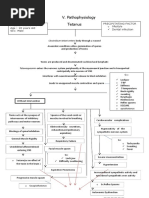 Pathophysiology of Tetanus