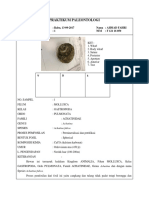 Praktikum Paleontologi