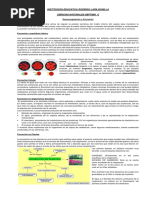 Taller Sobre Excrecion Septimo C